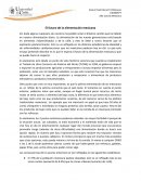 El futuro de la alimentación mexicana