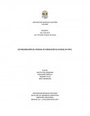 ESTANDARIZACIÓN DEL PROCESO DE FABRICACIÓN DE AVIONES DE PAPEL