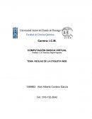 Reglas de la etiqueta web