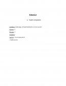 Cuadro comparativo ONGS