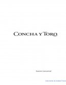 EXAMEN TRANSVERSAL INSTRUMENTO