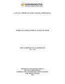 Importancia de la practica profesional