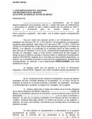 JUICIO SUMARIO DE USUCAPION