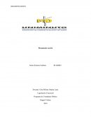 Programa de Contaduría Pública