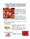 Los tres grupos de proteinas en los que se divide la carne