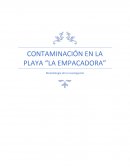 Contaminación en la playa "la empacadora". Los Cabos, BCS