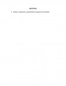 Analizar, comprender y experimentar la segunda ley de Newton.