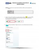 MANUAL DE CONTROL DE BULTOS DE IMPORTACIONES