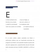 Campo y mercado de trabajo