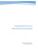 Proyecto final fundamento de la prevencion de riesgo