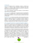 Manual de seguridad e higiene