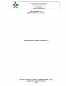 EMPRENDIMIENTO ENSAYO CARTA A GARCIA