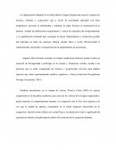 Relación entre triada ecológica y terapia ocupacional