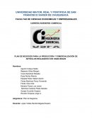 PLAN DE NEGOCIOS PARA LA PRODUCCIÓN Y COMERCIALIZACIÓN DE ARTÍCULOS REALIZADOS CON HAMA BEADS