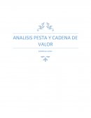 ANALISIS PESTA Y CADENA DE VALOR EMPRESA ENTEL