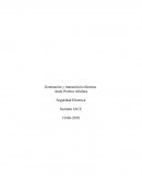 Generación y transmisión eléctrica.