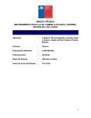 Minuta Tecnica Osorno