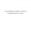 LA EXPERIMENTACION ANIMAL