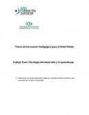 Trabajo Final: Psicología del desarrollo y el aprendizaje