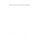 ENSAYO ÚLTIMO AVISO- LOS LÍMITES DEL CRECIMIENTO