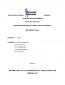 INFORME FINAL DE LA ELABORACIÓN DEL TEMA ULCERAS POR PRESIÓN. UPP