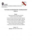 Actividad de organización y jerarquización. Fisica