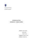 EXPERIENCIA 1: PÉNDULO SIMPLE