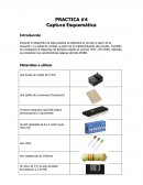 Captura Esquemática