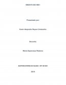 AUDITORÍA INTERNA DE CALIDAD - NTC ISO 9001