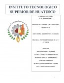 Placas electrónicas 12, 5 , -12 y -5