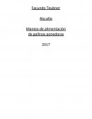 Manejo de alimentación de gallinas ponedoras
