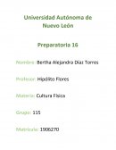 Preparatoria cultura fisica