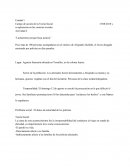 Campo de acción de la Teoría Social y su aplicación en las ciencias sociales