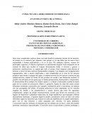 Práctica de laboratorio, anatomía interna de Blatodea