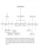 Esferas de la estructura social