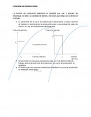 Funcion de produccion