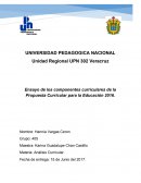 Ensayo de los componentes curriculares de la Propuesta Curricular para la Educación 2016