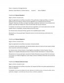Tarea 1: Anatomía y Fisiología General