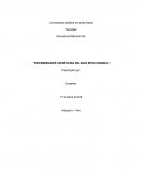 ENFERMEDADES GENÉTICAS DEL ADN MITOCONDRIAL