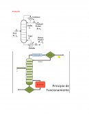 TORRES CON CAMPANAS DE BURBUJEO