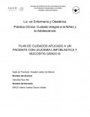 PLAN DE CUIDADOS APLICADO A UN PACIENTE CON LEUCEMIA LINFOBLASTICA Y MUCOSITIS GRADO III