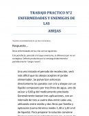 BUSCAR LAS ENFERMEDADES DE LAS CRIA Y EXPLICARLAS