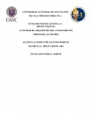 Actividad de adquisición del conocimiento. Crecimiento celular