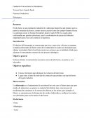 Posible ensayo de siderurgia