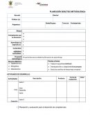 PLANEACIÓN DIDÁCTICO METODOLÓGICA: