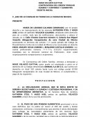 Formato de demanda familiar CDMX