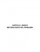 MARCO METODOLÓGICO DEL PROBLEMA