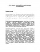LOS PUEBLOS INDÍGENAS EN EL NUEVO ESTADO PLURINACIONAL