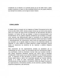 LOS PUEBLOS INDÍGENAS EN EL NUEVO ESTADO PLURINACIONAL. Página 4