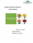 MODELO CANVAS EMPRESA: “PROFLOWERS”